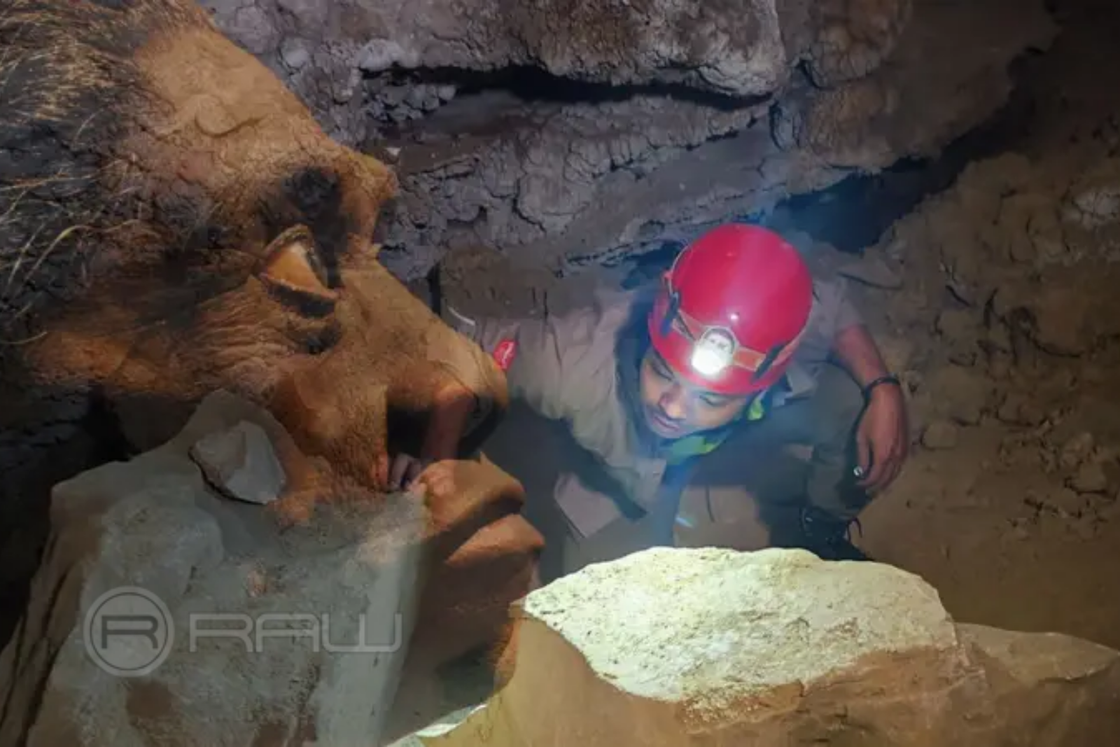 Pertemuan Manusia Modern dan Manusia Purba di Sulawesi